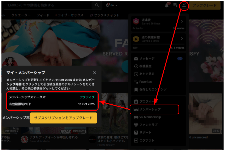 faphouseのメンバーシップ有効期限のチェック方法のスクリーンショット