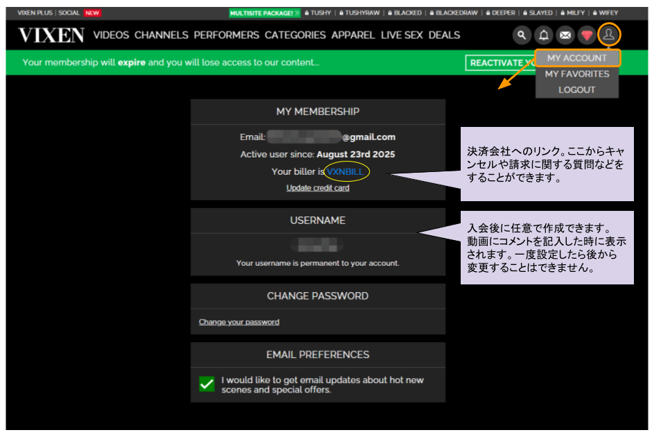 Vixen Media Groupサイト共通のメニュー説明のスクリーンショット