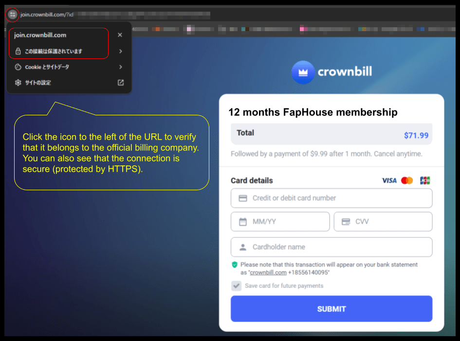 Screenshot of card information entry page for Faphouse introductory article.