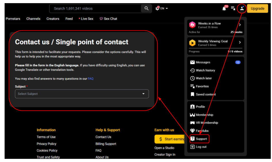 Screenshot of contact support menu for Faphouse introductory article.