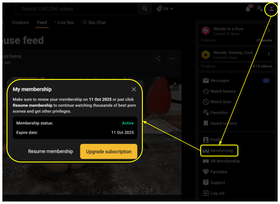 Screenshot of membership status window for Faphouse introductory article.