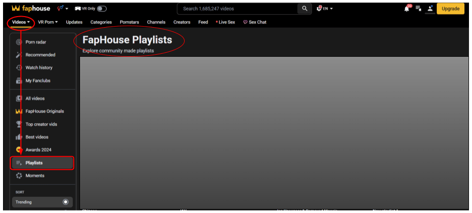 Sctreenshot of public playlist menu in Faphouse introductory artcile.