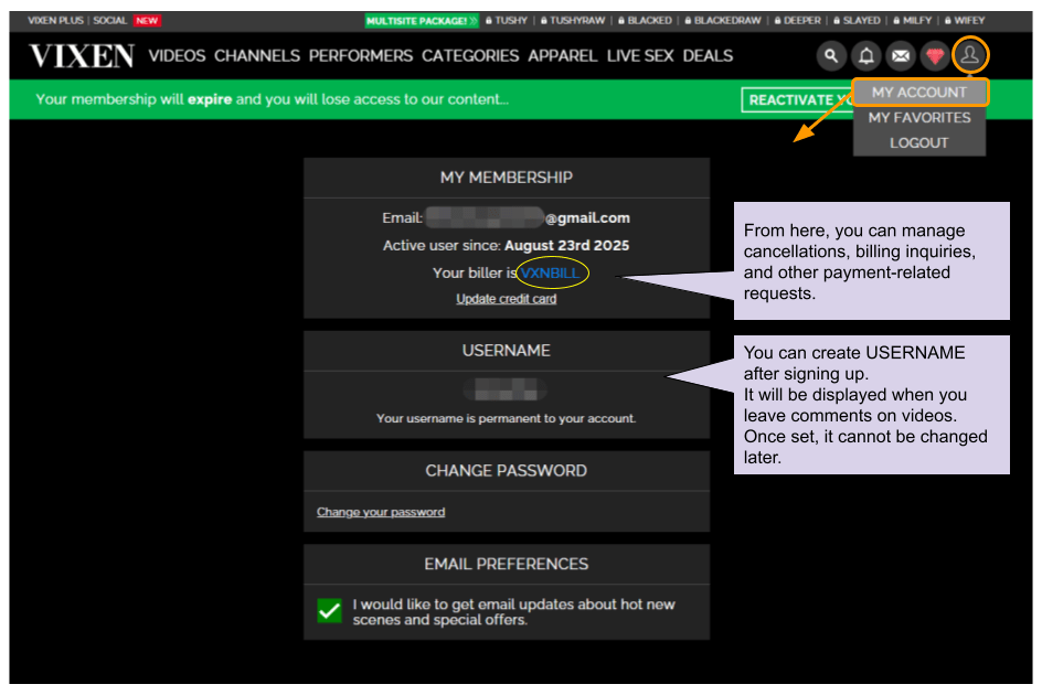 Common account menu on VMG sites – screenshot for explanation