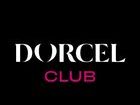 Dorcel Club studio logo – Faphouse関連